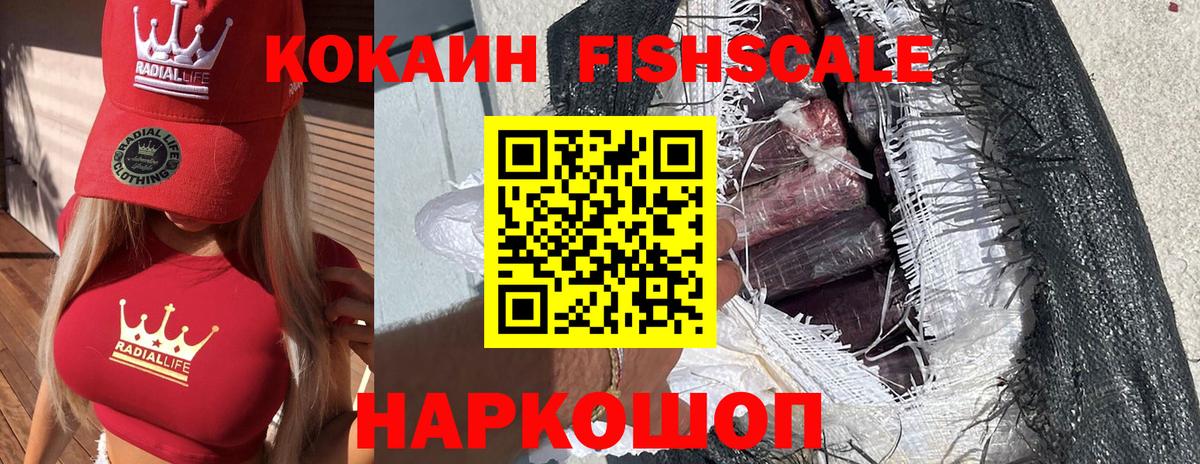 КОКАИН Эквадор  Cocaine FishScale  Вход с VPN  Нижнеудинск 