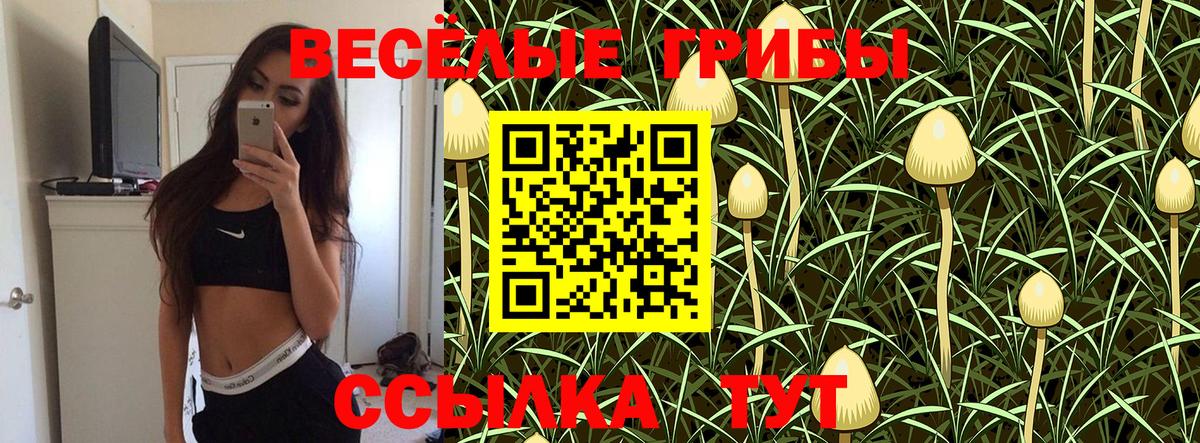 Галлюциногенные грибы ЛСД  Галлюциногенные грибы прущие грибы  Нижнеудинск  закладки  Вход с VPN 